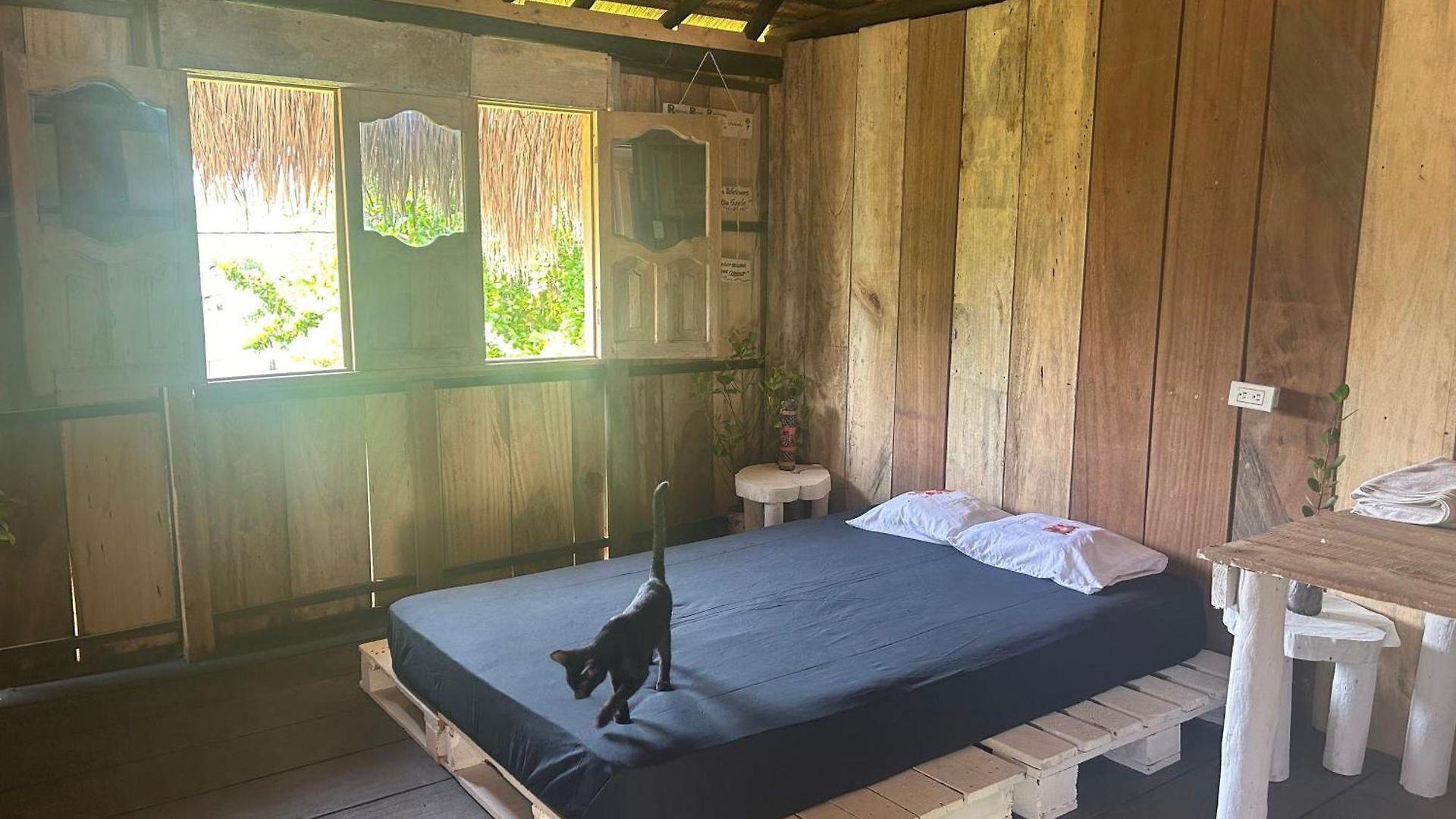 Punta Arena Ecohostal & Ecofit - Your Eco-conscious Oasis