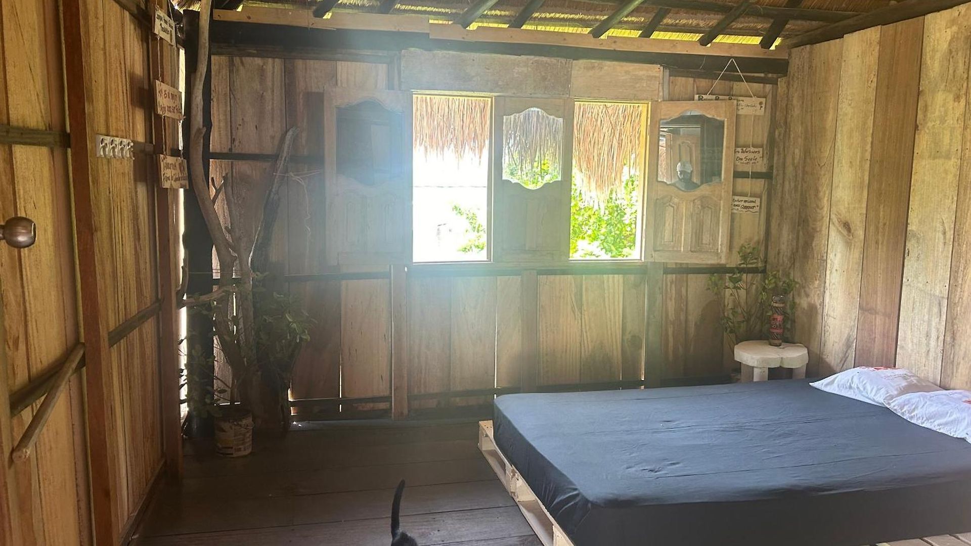Punta Arena Ecohostal & Ecofit - Your Eco-conscious Oasis Pensión *