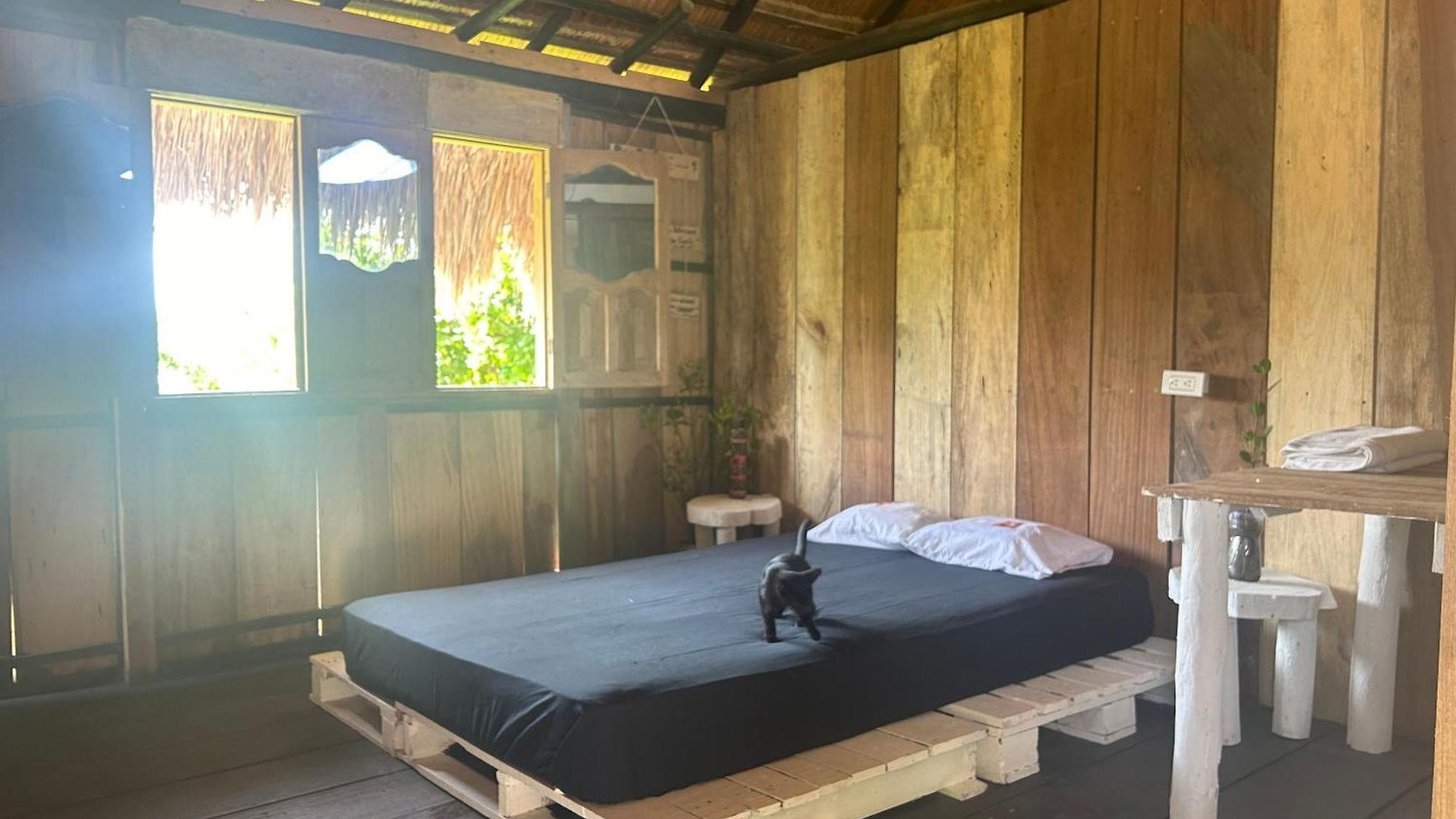 Punta Arena Ecohostal & Ecofit - Your Eco-conscious Oasis Pensión
