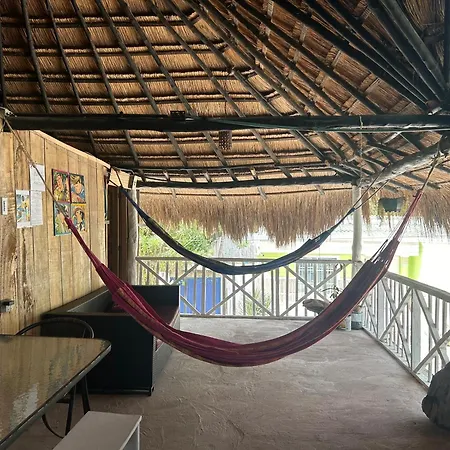 Punta Arena Ecohostal & Ecofit - Your Eco-conscious Oasis
