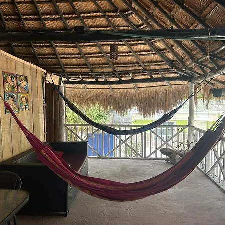 Punta Arena Ecohostal & Ecofit - Your Eco-conscious Oasis * Cartagena