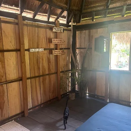Guest house Punta Arena Ecohostal & Ecofit - Your Eco-conscious Oasis