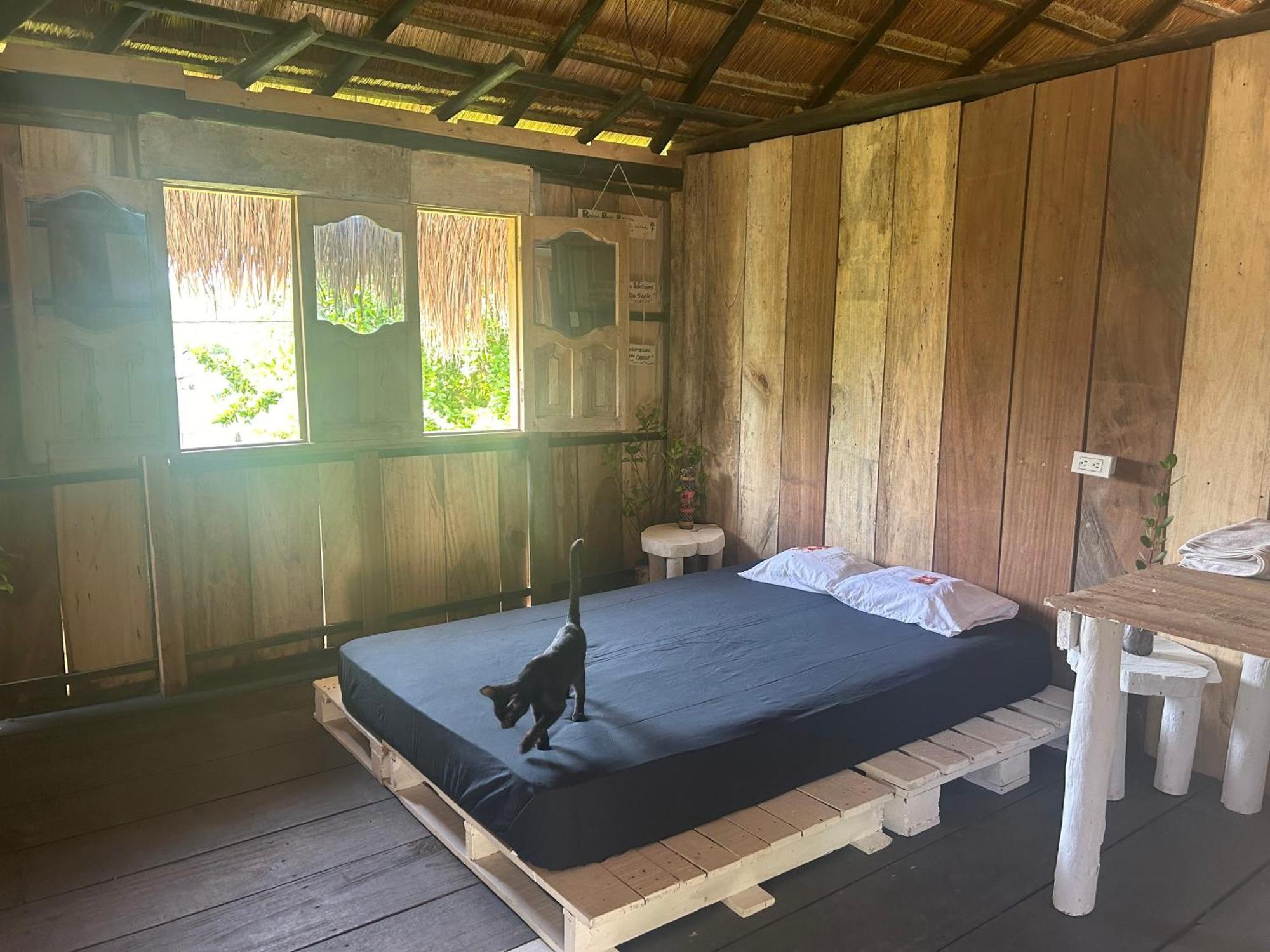 Punta Arena Ecohostal & Ecofit - Your Eco-conscious Oasis